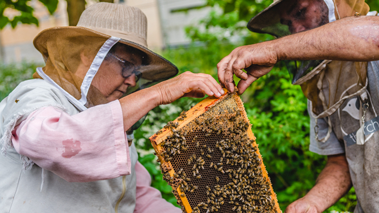 Hives for Humanity volunteers have an opportunity to build skills, gain meaningful experience and foster supportive relationships through the therapeutic beekeeping program.